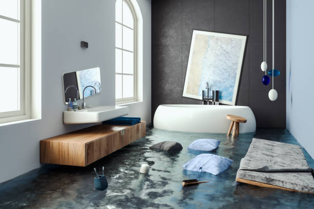 Best Mold removal after water damage  in Owatonna, MN