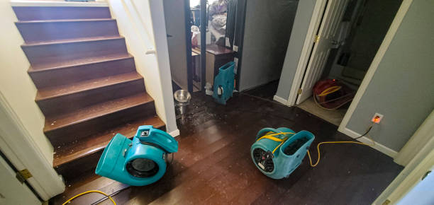 Professional Water damage restoration in Owatonna, MN