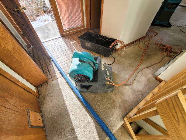 Best Carpet water damage restoration  in Owatonna, MN