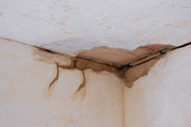 Best Flood damage cleanup  in Owatonna, MN