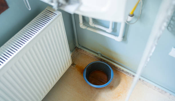 Best Water damage contractors near me  in Owatonna, MN