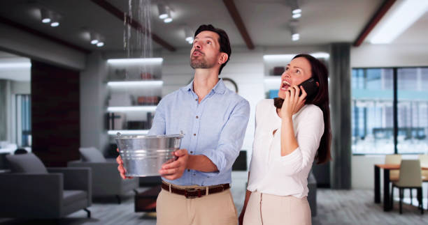 Best Ceiling water damage repair  in Owatonna, MN